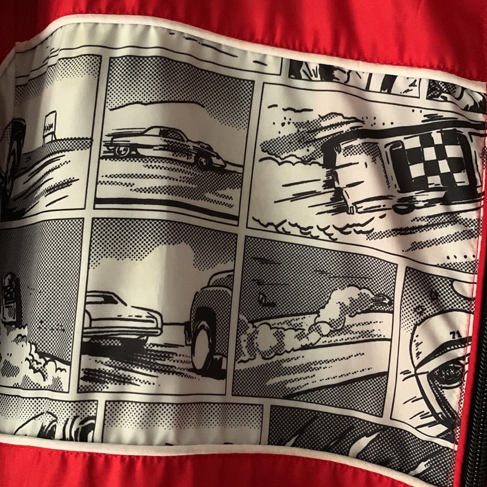 ZARA The Stunning Racers Jacket - Picture 6 of 16